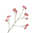 Kunstbloem Astrantia Tak Roze | 95 cm