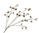Kunstblume Begonienzweig Braun/Grün | 106 cm