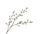 Kunstbloem Bessentak Groen | 112 cm