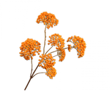 Kunstbloem Bessentak Oranje | 101 cm