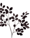 Kunstbloem Beuken Tak Bordeaux/Paars | 127 cm - NU PUUR & GROEN