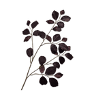 Kunstbloem Beuken Tak Bordeaux/Paars | 96 cm