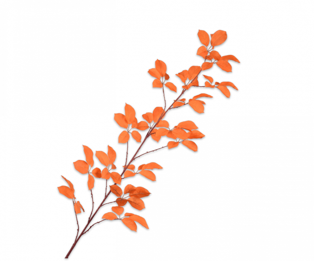 Kunstbloem Bladtak Oranje | 164 cm - NU PUUR & GROEN