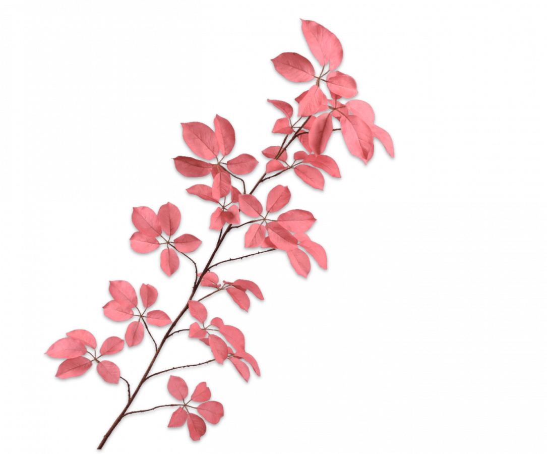 Kunstbloem Bladtak Roze | 164 cm - NU PUUR & GROEN