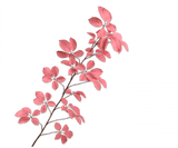 Kunstbloem Bladtak Roze | 164 cm