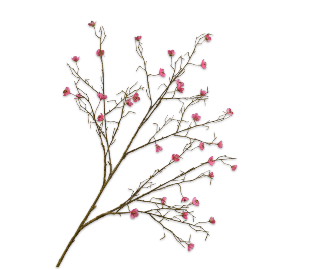 Kunstbloem Bloesem Tak Beauty | 107 cm - NU PUUR & GROEN