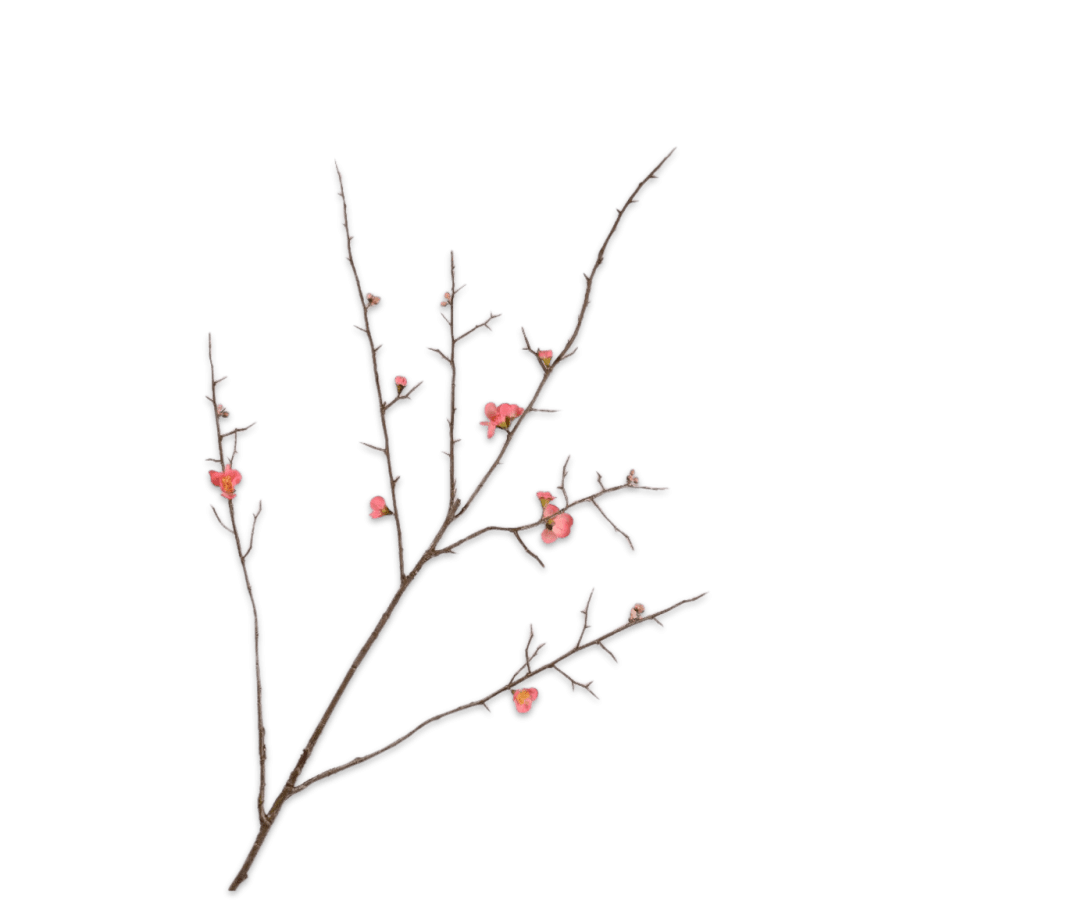Kunstbloem Bloesem Tak Beauty | 121 cm - NU PUUR & GROEN