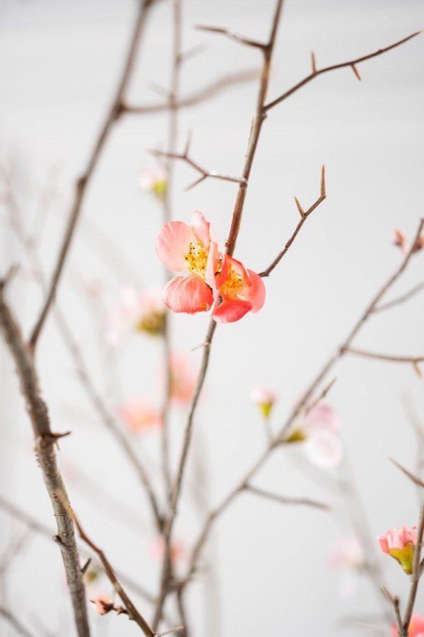Kunstbloem Bloesem Tak Beauty | 154 cm - NU PUUR & GROEN
