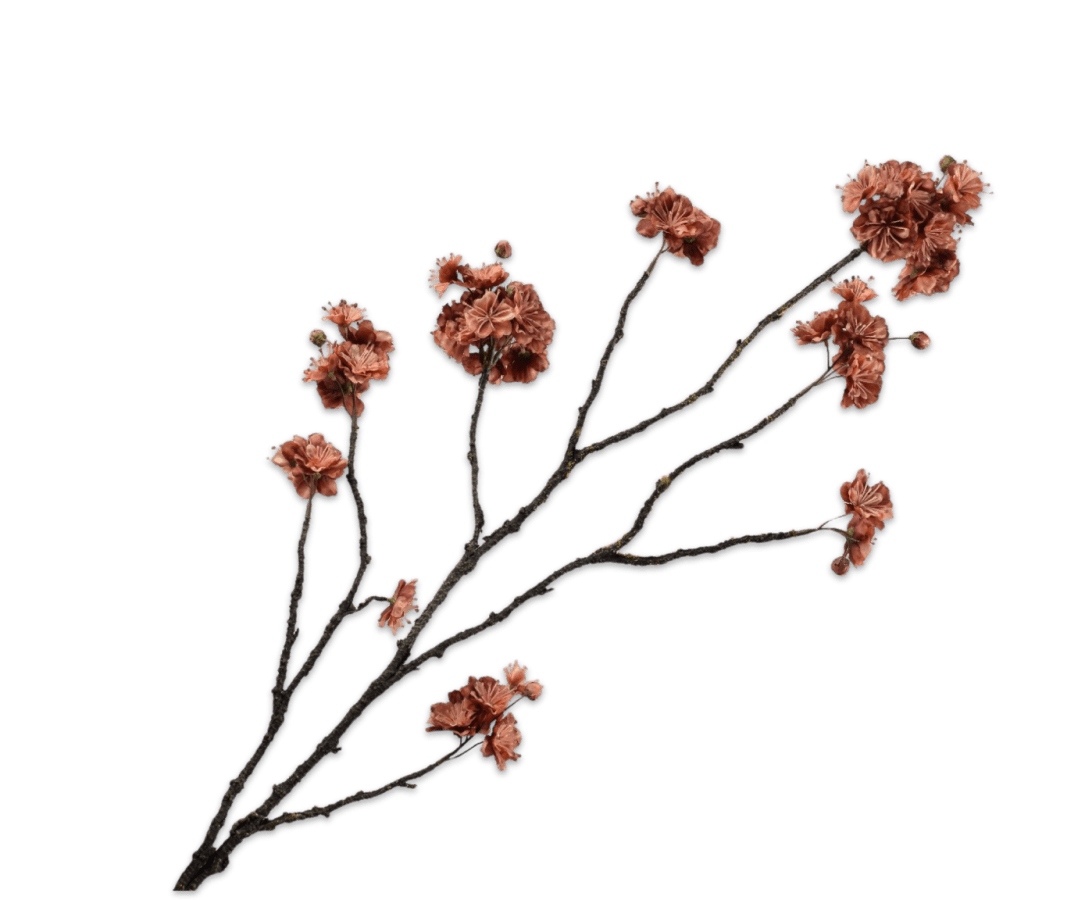 Kunstbloem Bloesem Tak Bruin | 110 cm - NU PUUR &amp; GROEN