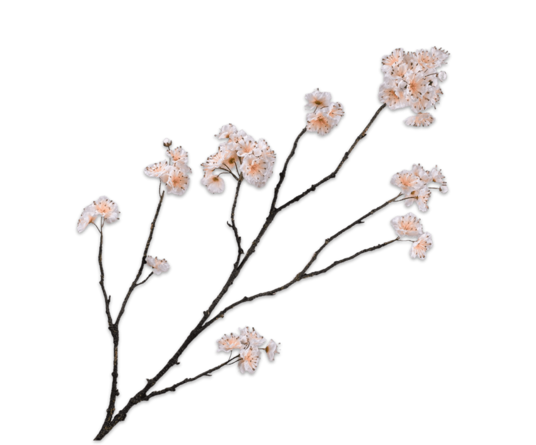 Kunstbloem Bloesem Tak Creme | 110 cm - NU PUUR &amp; GROEN