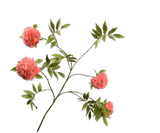 Kunstbloem Bloesem Tak Perzik | 149 cm