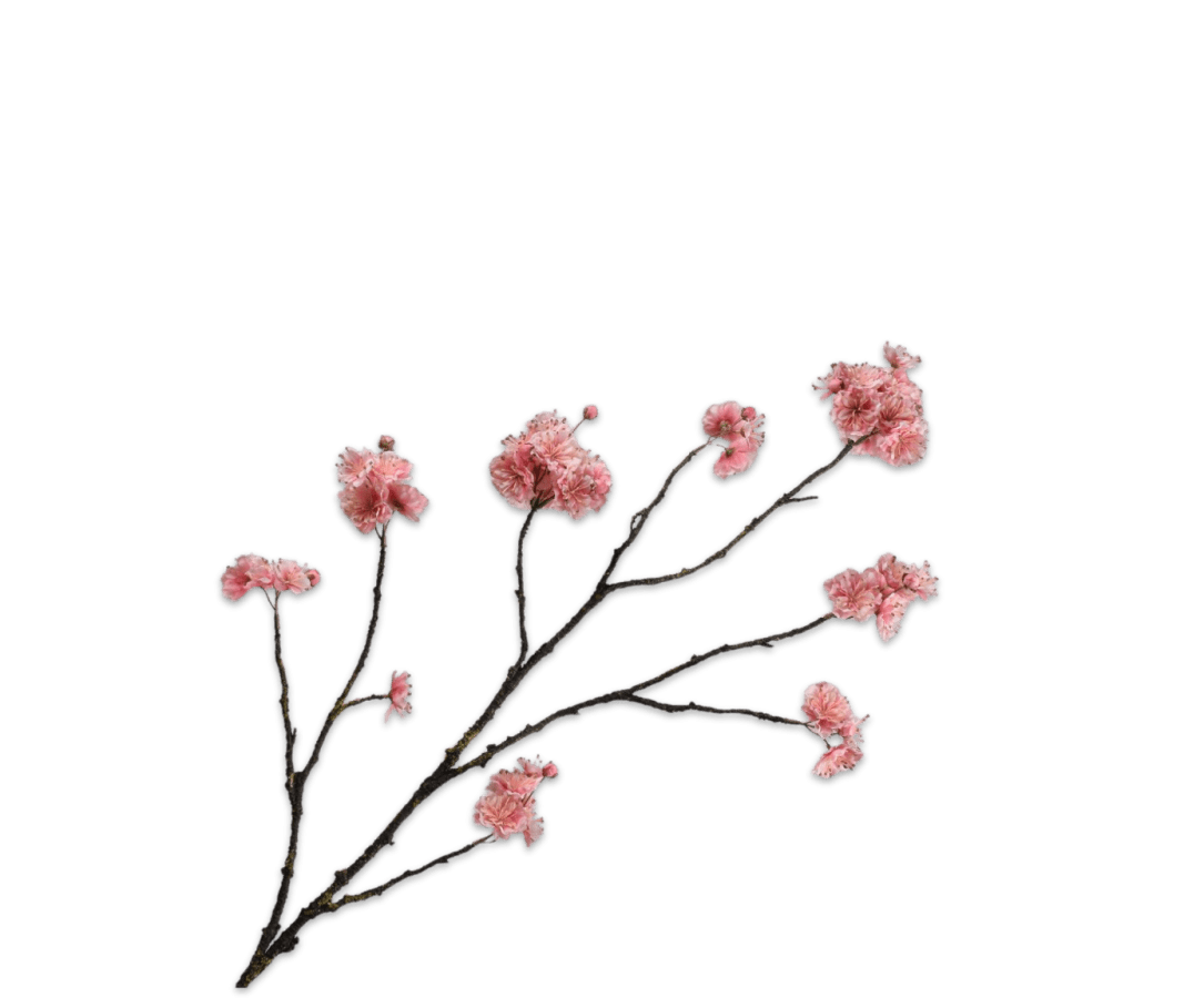 Kunstbloem Bloesem Tak Roze | 110 cm - NU PUUR &amp; GROEN