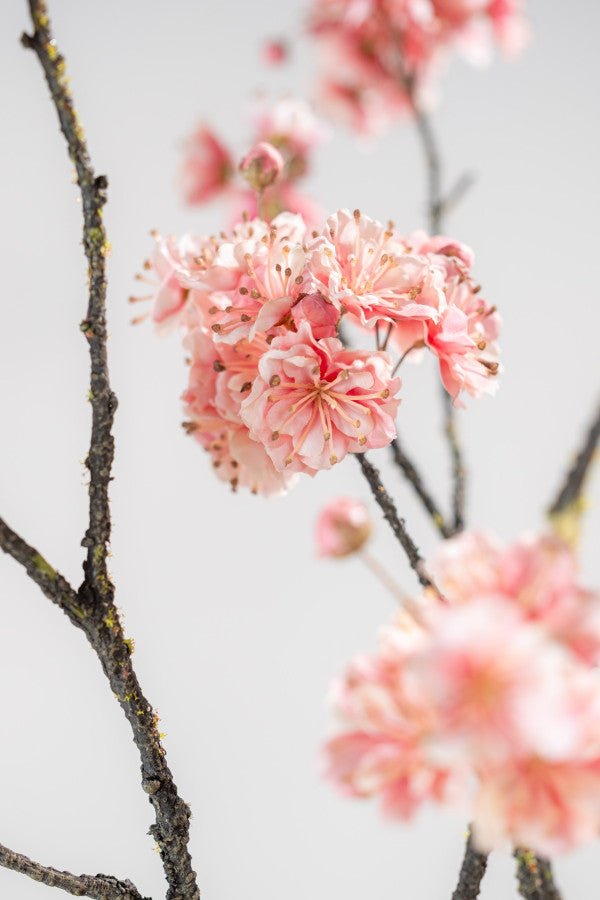 Kunstbloem Bloesem Tak Roze | 110 cm - NU PUUR &amp; GROEN