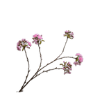 Kunstbloem Bloesem Tak Roze | 132 cm