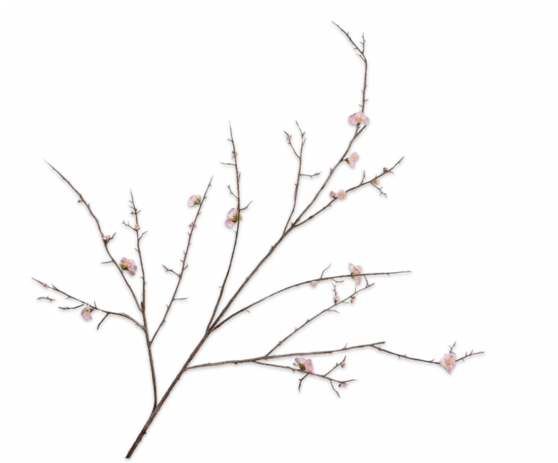 Kunstbloem Bloesem Tak Roze | 154 cm - NU PUUR & GROEN
