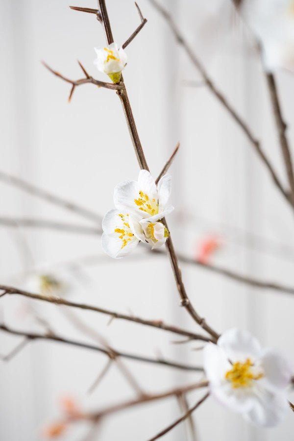 Kunstbloem Bloesem Tak Wit | 121 cm - NU PUUR & GROEN