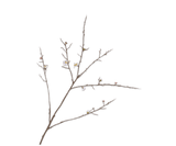 Kunstbloem Bloesem Tak Wit | 121 cm
