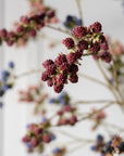 Kunstbloem Bramen Tak Rood | 107 cm - NU PUUR & GROEN