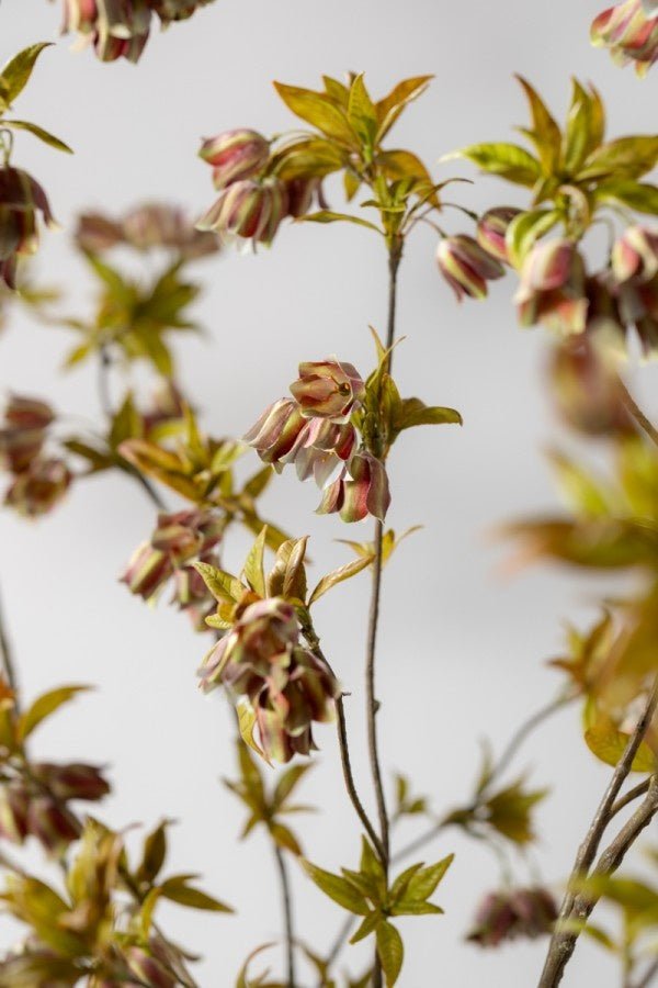 Kunstbloem Campanula Tak Groen/Bruin | 112 cm - NU PUUR & GROEN