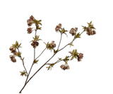 Kunstbloem Campanula Tak Groen/Bruin | 112 cm