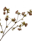 Kunstbloem Campanula Tak Groen/Bruin | 112 cm - NU PUUR & GROEN