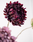 Kunstbloem Chrysant Tak Bordeaux | 76 cm - NU PUUR & GROEN
