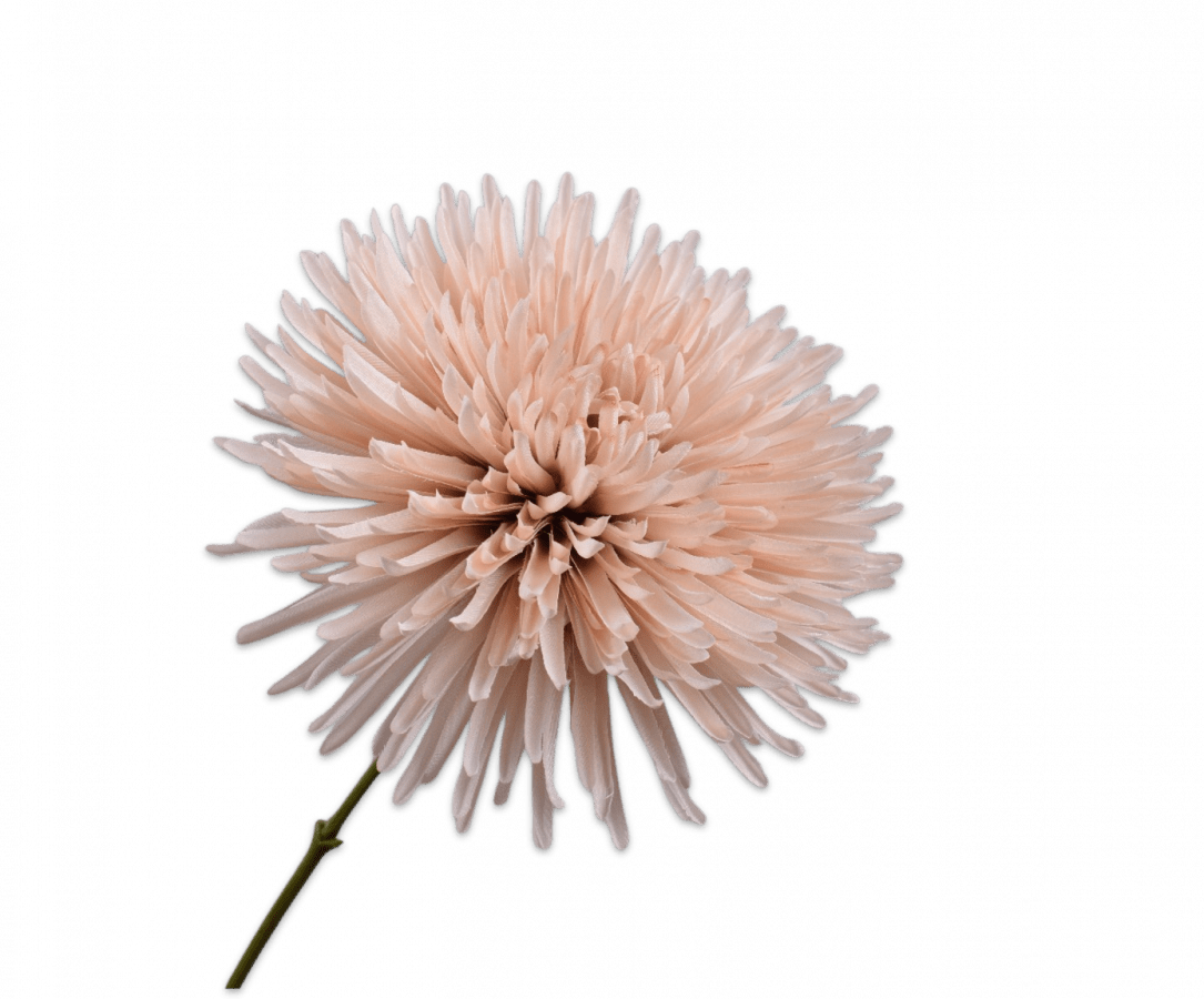 Kunstbloem Chrysant Tak Bruin LT | 60 cm - NU PUUR & GROEN