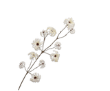 Kunstbloem Clematis Tak Crème | 107 cm