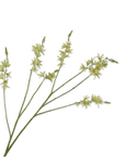 Kunstbloem Crocosmia Tak Groen | 117 cm - NU PUUR & GROEN