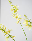 Kunstbloem Crocosmia Tak Groen | 117 cm - NU PUUR & GROEN