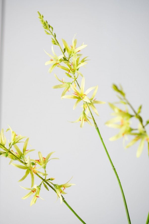 Kunstbloem Crocosmia Tak Groen | 95 cm - NU PUUR & GROEN
