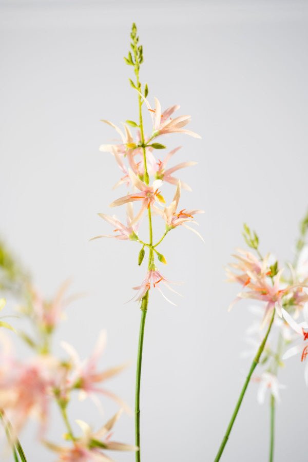 Kunstbloem Crocosmia Tak Roze/Groen | 117 cm - NU PUUR & GROEN
