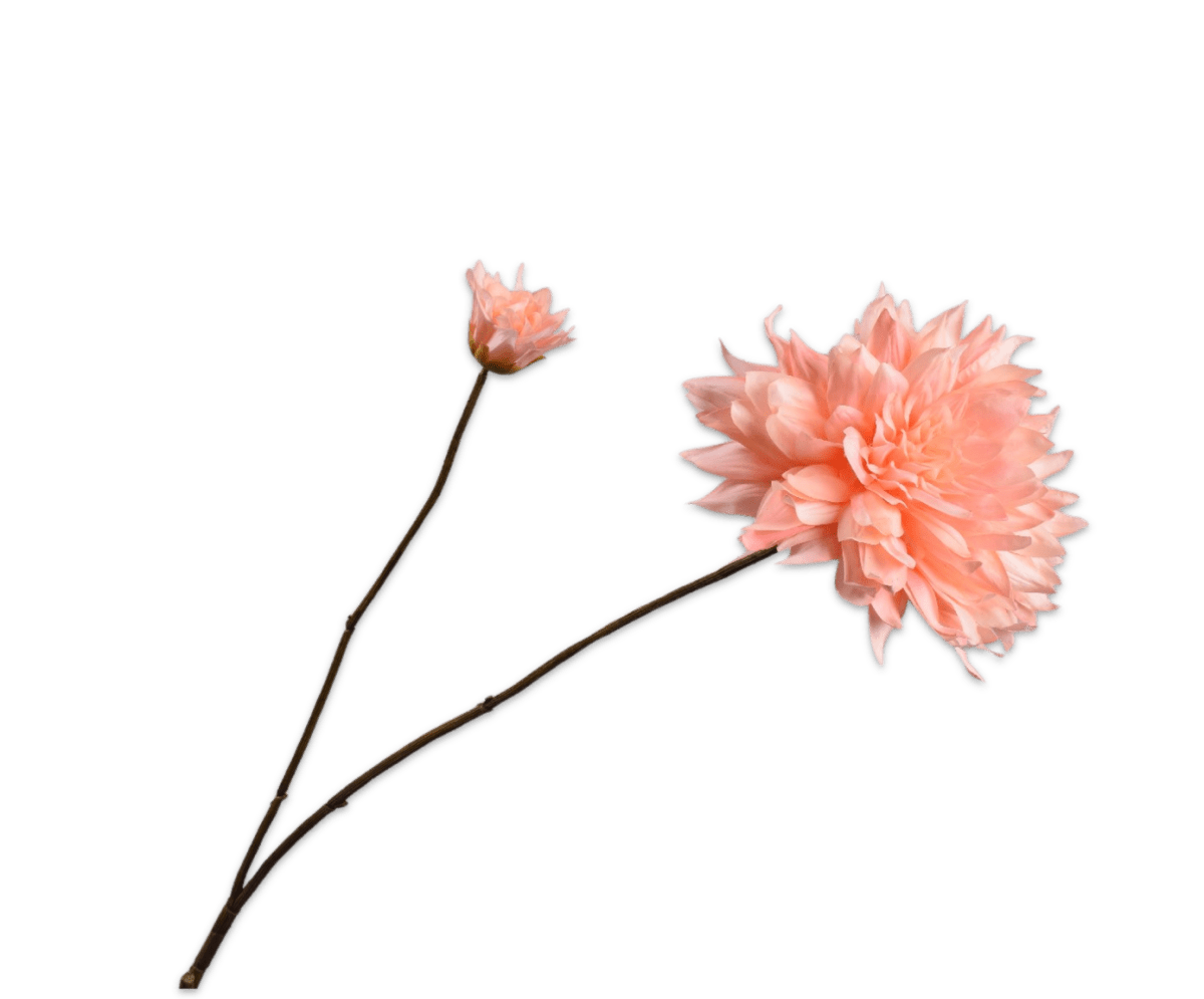 Kunstbloem Dahlia Tak Crème / Roze Real Touch | 102 cm - NU PUUR & GROEN