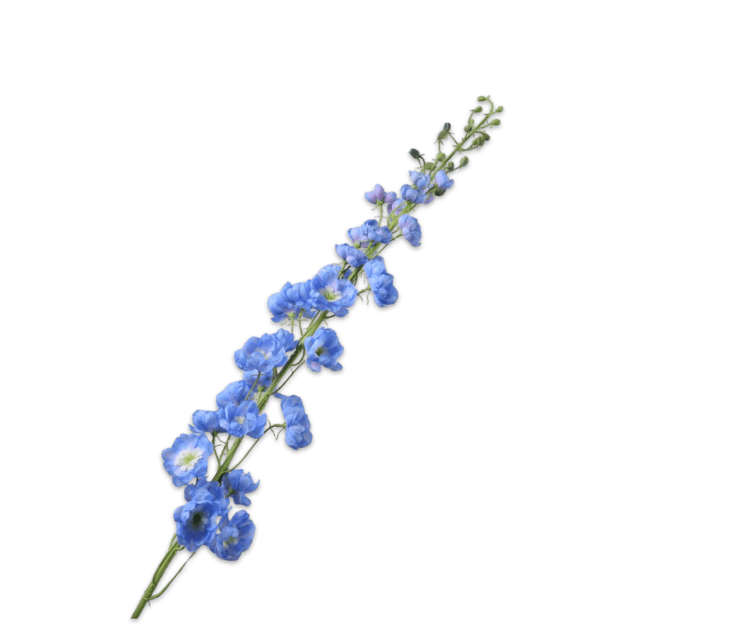 Kunstbloem Delphinium Steel Blauw | 127 cm - NU PUUR & GROEN