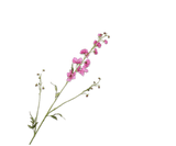 Artificial Flower Delphinium Branch Beauty | 101 cm
