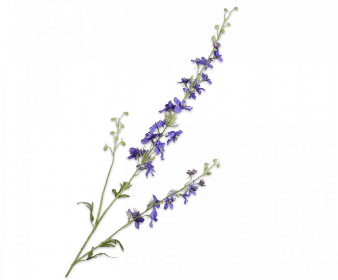 Kunstbloem Delphinium Tak Blauw | 122 cm - NU PUUR & GROEN