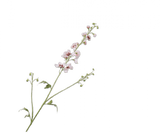Flor artificial Delfinio Rama Crema/Rosa | 101 cm