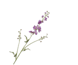 Artificial Flower Delphinium Branch Lavender | 101 cm
