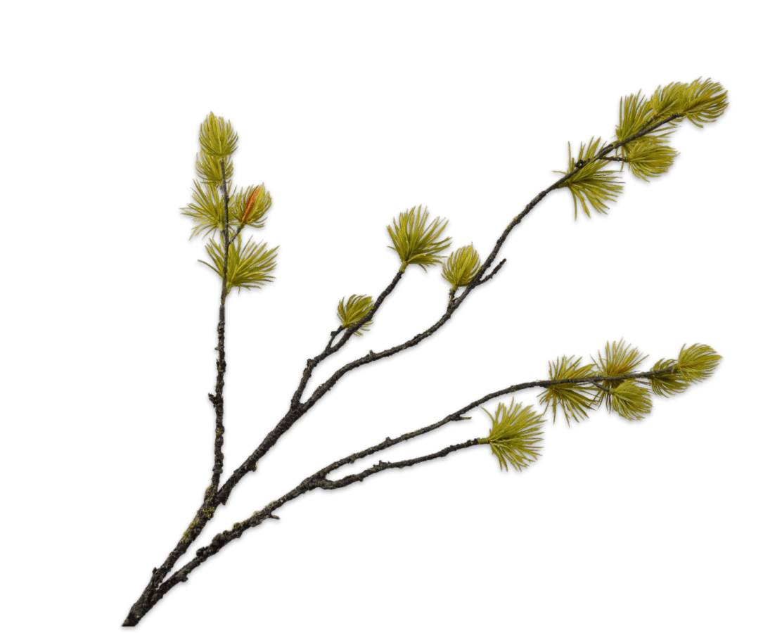 Kunstbloem Den Tak Geel/Groen | 77 cm - NU PUUR &amp; GROEN