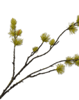 Kunstbloem Den Tak Geel/Groen | 77 cm - NU PUUR & GROEN