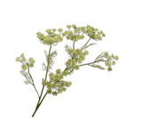 Kunstbloem Dille Tak Groen | 105 cm