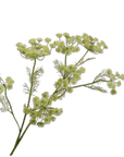 Kunstbloem Dille Tak Groen | 105 cm - NU PUUR & GROEN