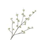 Kunstbloem Dille Tak Groen | 115 cm