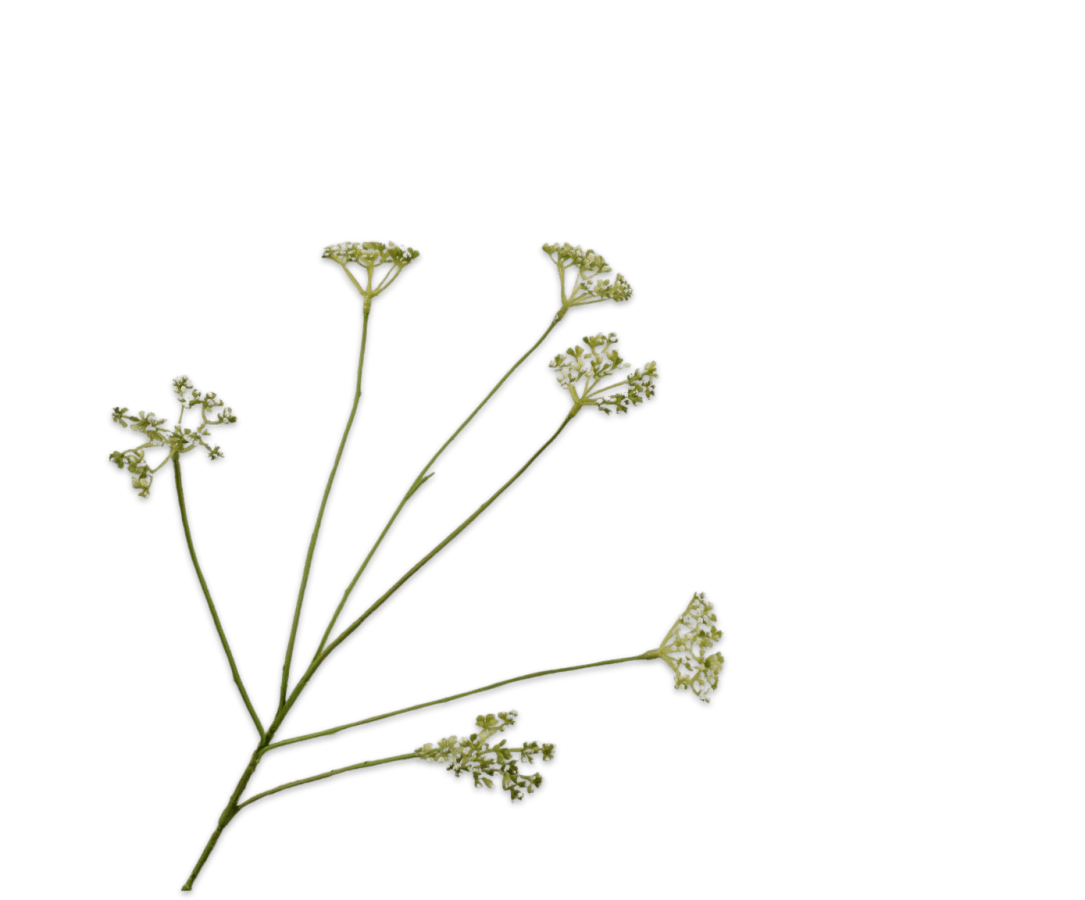 Kunstbloem Dille Tak Groen | 66 cm - NU PUUR & GROEN