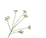Kunstblume Dill Zweig Grün | 66 cm
