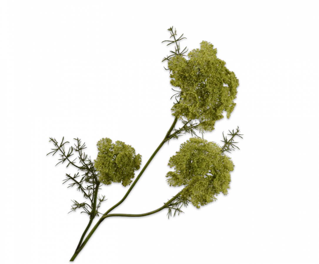 Kunstbloem Dille Tak Groen | 74 cm - NU PUUR & GROEN