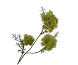 Kunstbloem Dille Tak Groen | 74 cm