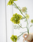 Kunstbloem Dille Tak Groen | 74 cm - NU PUUR & GROEN