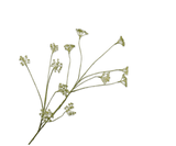 Fleur artificielle Branche d'Aneth Verte | 96 cm