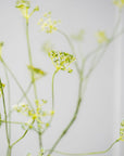 Kunstbloem Dille Tak Groen | 96 cm - NU PUUR & GROEN